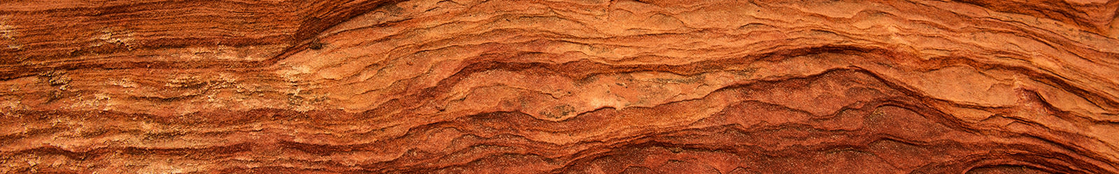 Ascend at Red Rocks floor plans