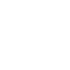 Avenida Partners, LLC logo