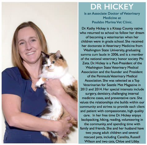 Dr. Hickey at Poulsbo Marina Veterinary Clinic in Poulsbo