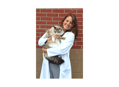 Dr Lara Bower at Southside Pet Hospital