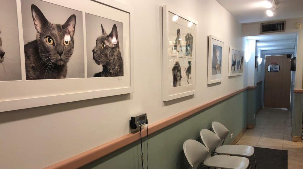 Our Hospital Riverside Animal Hospital South