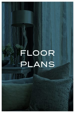 Floor plans custom graphic for Avenida Lakewood senior living apartments in Lakewood, Colorado