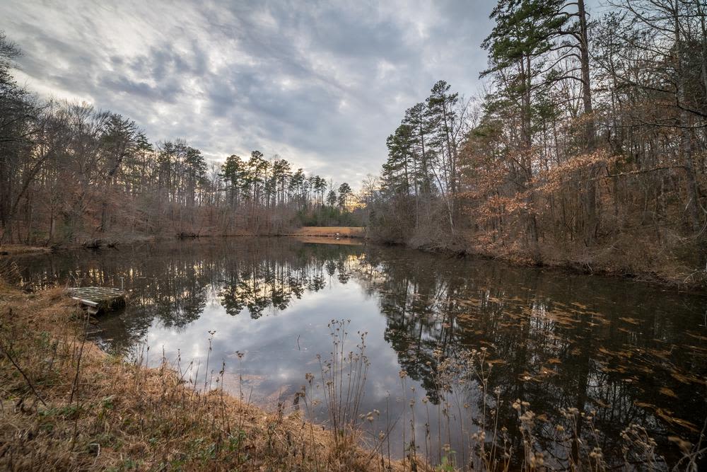 Laurel Springs is near Twin Pond in High Point, North Carolina
