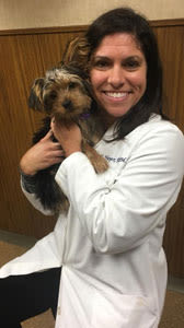 dr.heyer Craft at West Des Moines Animal Hospital