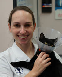 Jesse Page at Marbletown Animal Hospital