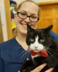 Laurie Nocerino, LVT at Marbletown Animal Hospital in Stone Ridge
