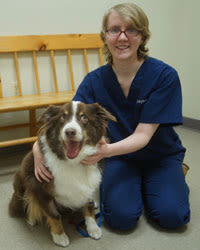 Cheyenne Schoonmaker, at Marbletown Animal Hospital in Stone Ridge