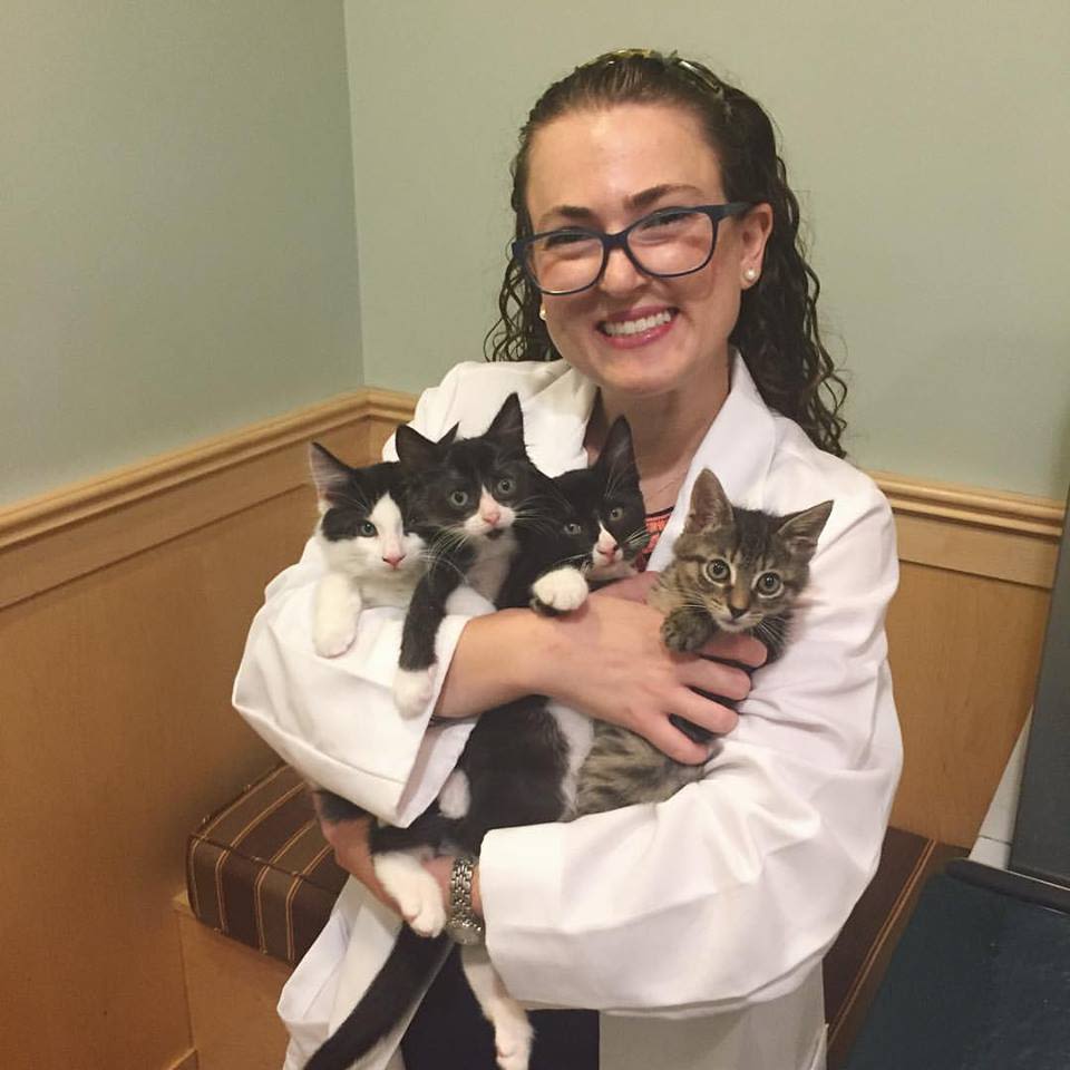 Sarah Schoenhut at Symphony Veterinary Center