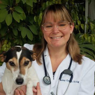 Dr. Cotten at Pleasanton Animal Hospital