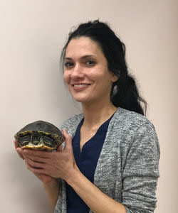 Dr. Habhab at Elmwood Park Animal Hospital