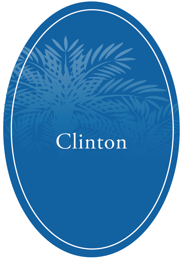 Clinton Presbyterian Community
