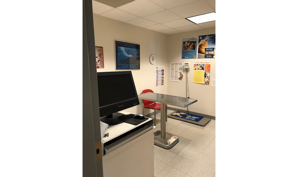 Our Hospital Bolton Animal Hospital