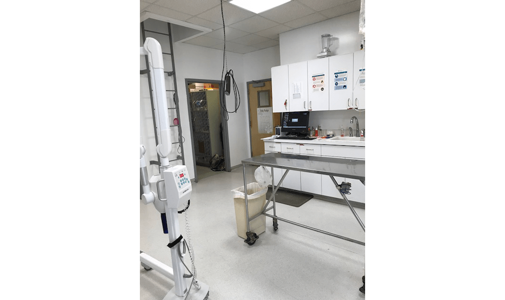Our Hospital Bolton Animal Hospital