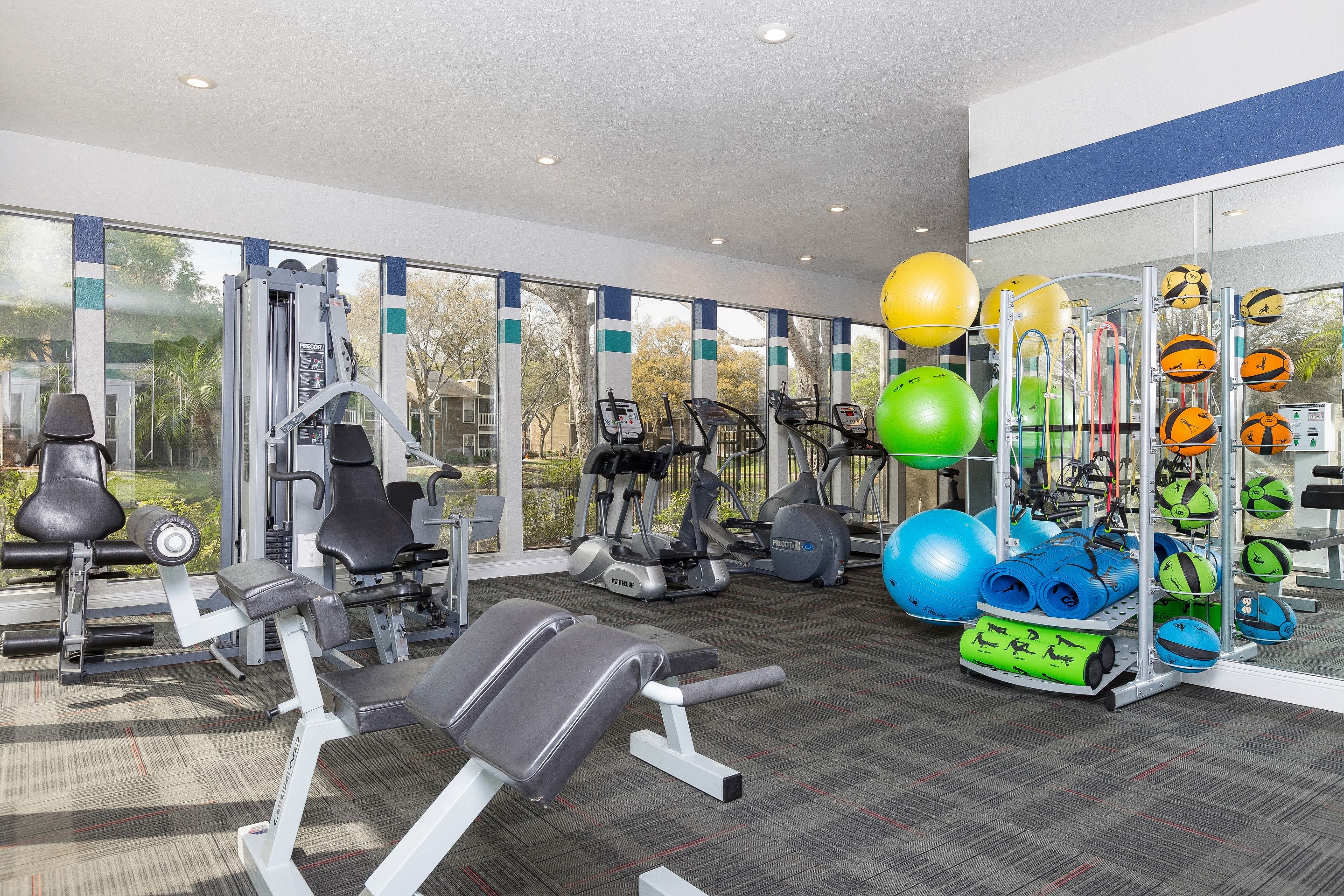 Carrollwood Tampa Fl Apartments For Rent Avion At