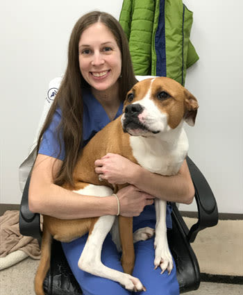 Dr. Frost, Veterinarian in Macedon Animal Hospital