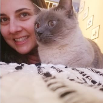 Jula Receptionist at Pet Samaritan Clinic in Portland