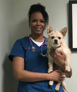 Dr. Wilson at Elmwood Park Animal Hospital