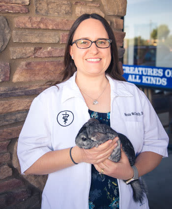 Nicole McCready, DVM in Phoenix