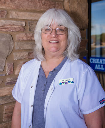 Dr. Pollard at Camelwest Animal Hospital in Phoenix, AZ