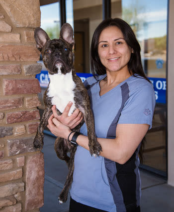 Elisa Tudon, Hospital Manager at Camelwest Animal Hospital in Phoenix