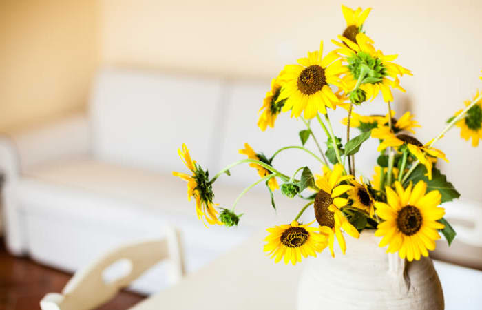 Flowers at Saskatoon Tower