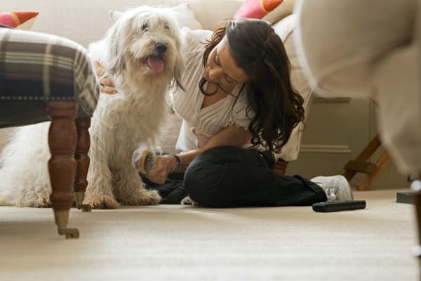 A shaggy dog and its owner enjoy time at home at Georgian Court Estates in Burlington