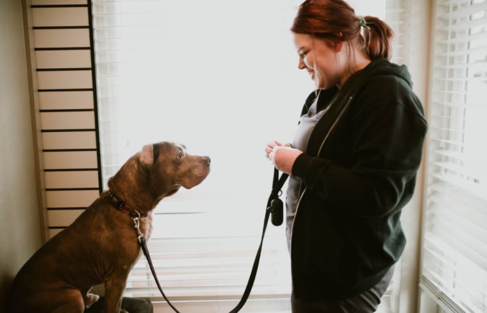 Obedience Counseling offered at Animal Hospital in Newcastle