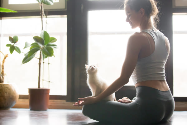 Have fun with your pets at Lakeview Mews in Calgary, AB