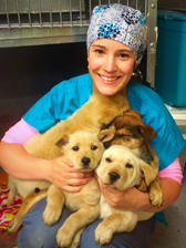 Dr. Alberg at Care Animal Hospital