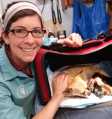 veterinarians clinic animal care north rogers cindy dr