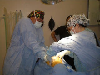 Doctors in surgery at River Road Pet Clinic in Tucson, Arizona