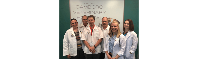 Veterinary team at Camboro Veterinary Hospital