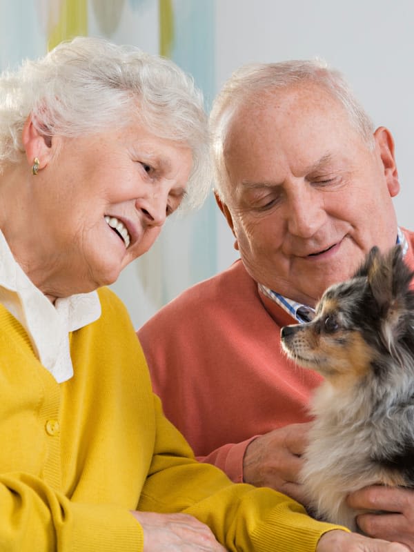 Residents enjoying the company of their dog at Centennial Pointe Senior Living in Springfield, Illinois