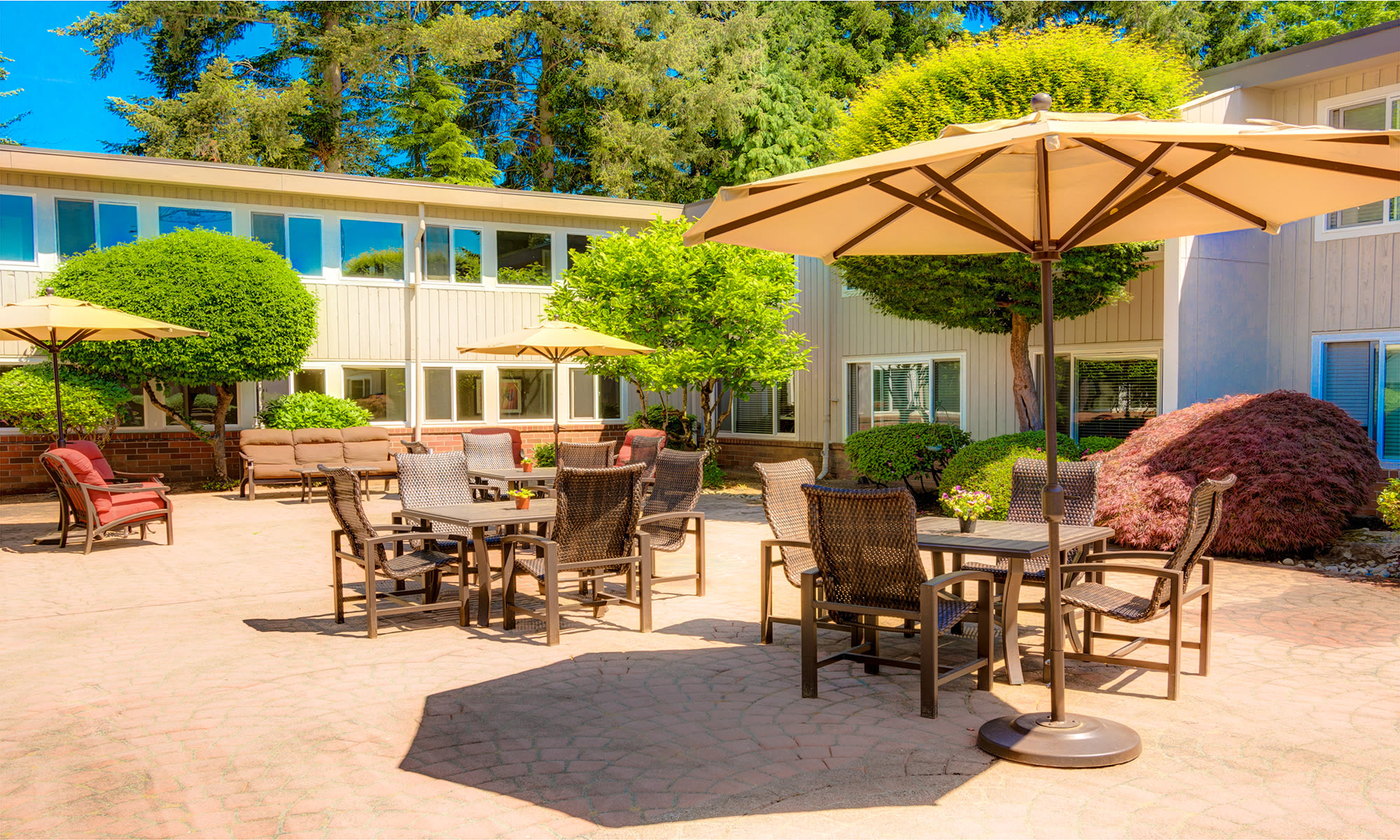 Senior living in Bellevue, WA