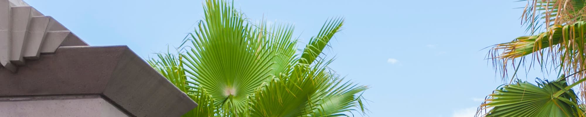 Privacy policy for The Link in Glendale