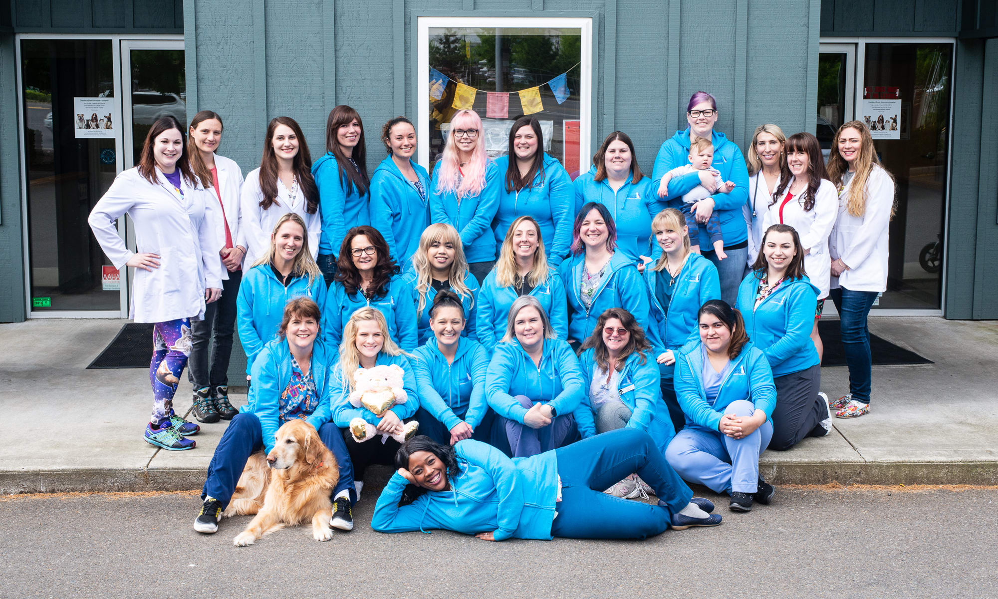 Animal Hospital in Lakewood, WA