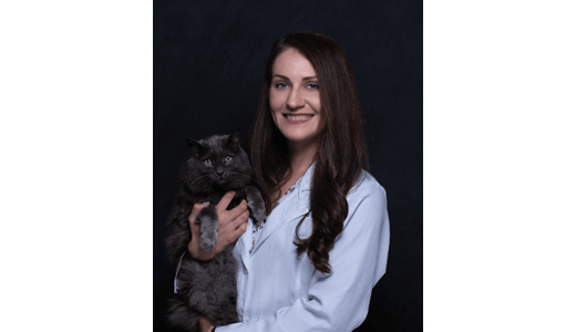 Dr. Wedde, DVM at Lakewood Animal Hospital