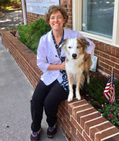 Alise Baer, D.V.M. at Raleigh Animal Hospital