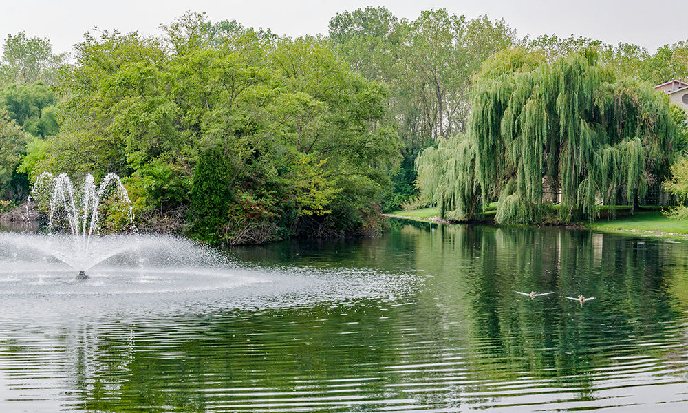 Photos Of The Lakes At 8201 In Merrillville Indiana