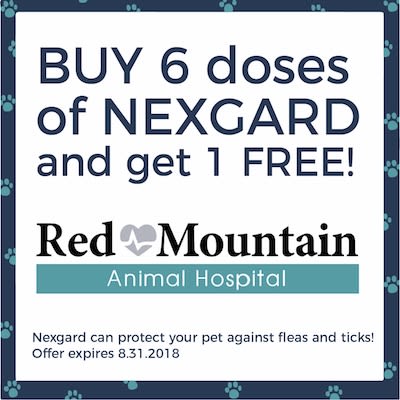Red Mountain Animal Hospital