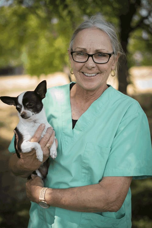Our Team Hendricks Veterinary Hospital