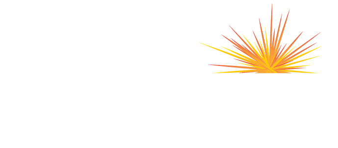 Reliant Investments: Login
