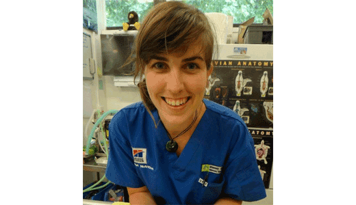Dr. Laura Mulshine at Pet Samaritan Clinic