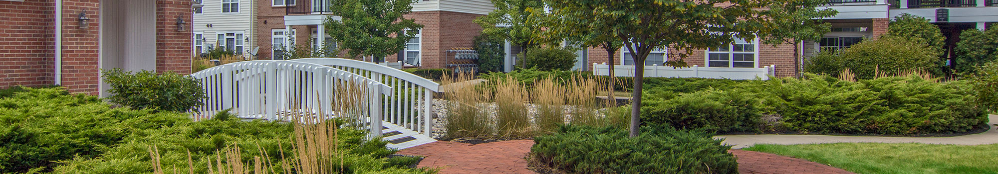 Great amenities at Chelsea Place