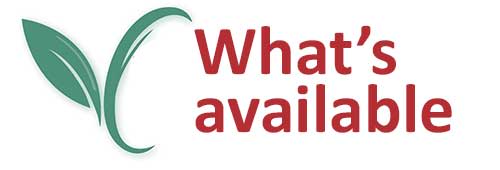 Whats Available Logo