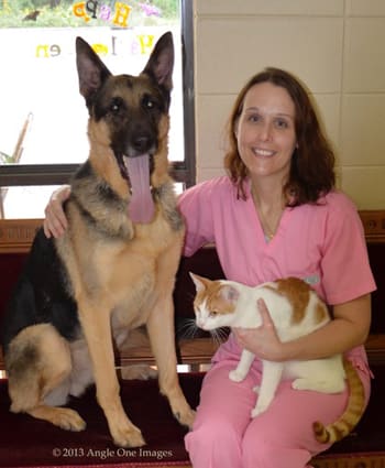Dr. Jennifer Griffin at Lake Street Animal Hospital