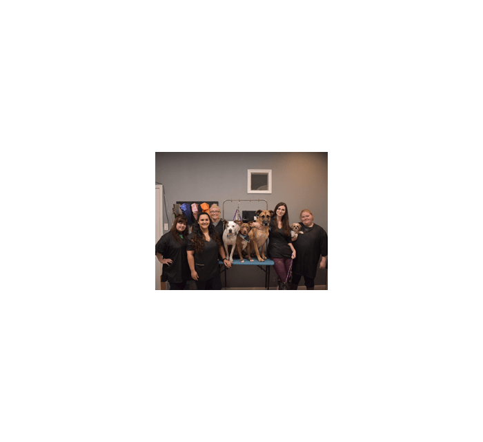 Groom staff at Creature Comfort Animal Clinic