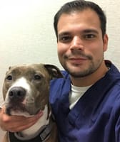 Dimitrio at Lifetime Animal Care Center
