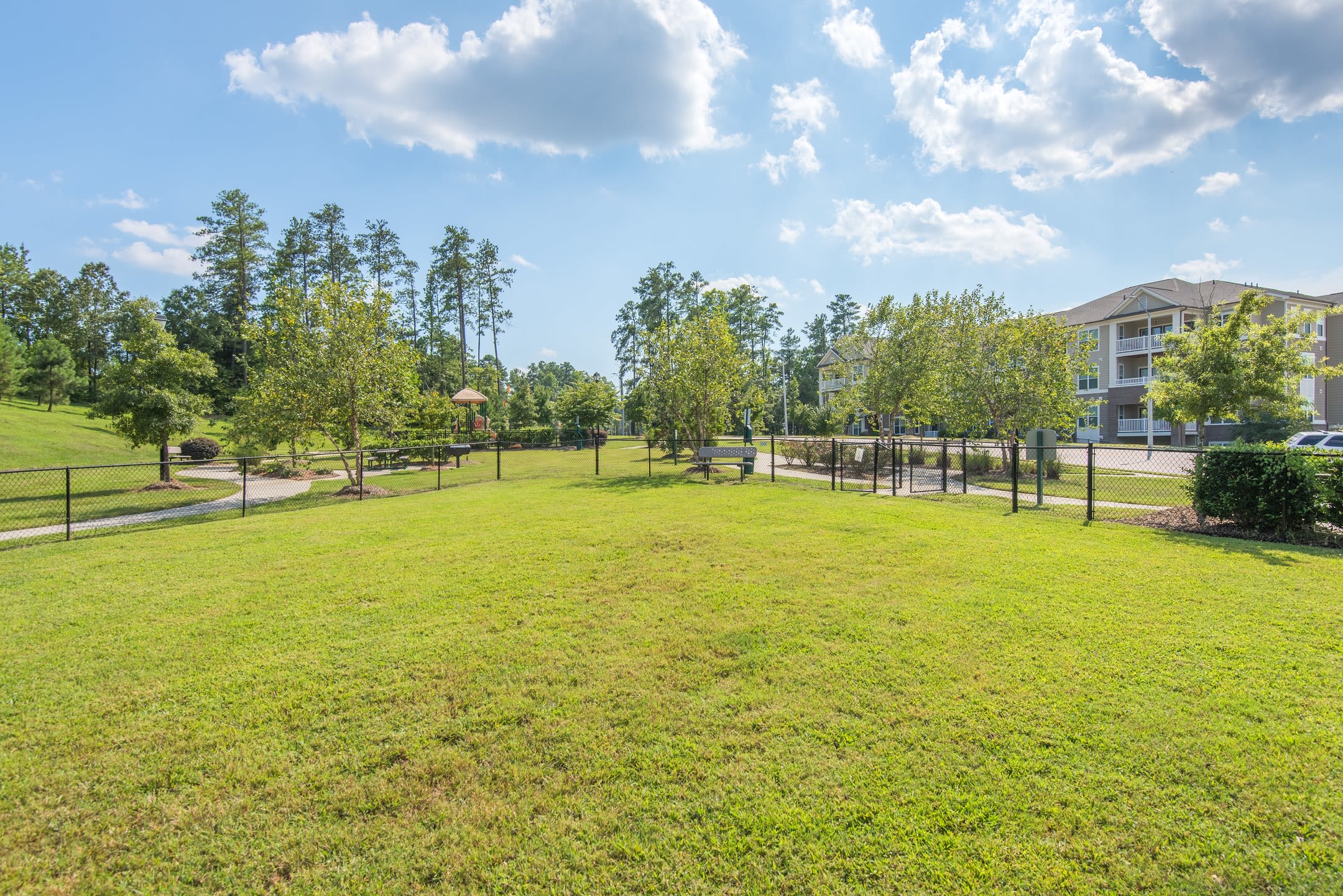 Northeast Raleigh Nc Apartments For Rent Sterling Town