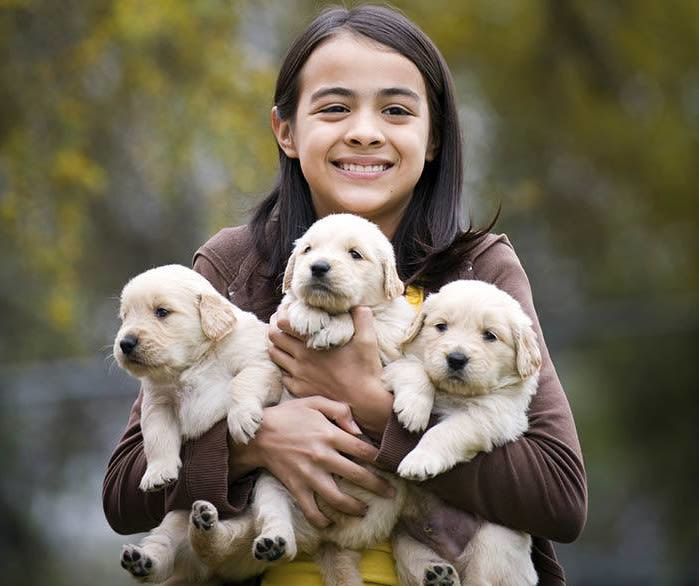 Girl holding puppies at The Animal Hospital on the Golden Strip in Williamsport, Pennsylvania